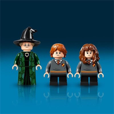 LEGO 76382 Harry Potter Hogwarts Moment: Verwandlungsunterricht - EOL 2022