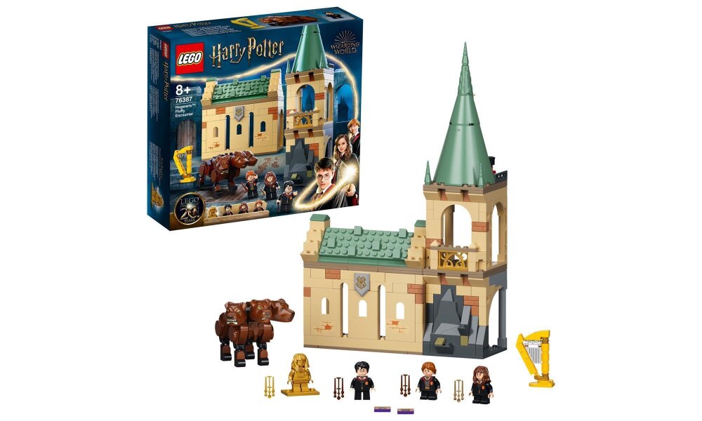 LEGO® Harry Potter: 76387 - Hogwarts: Begegnung mit Fluf