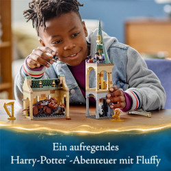 LEGO 76387 Harry Potter Hogwarts: Begegnung mit Fluffy - EOL 2022
