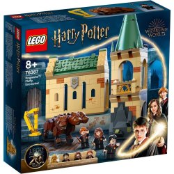 LEGO 76387 Harry Potter Hogwarts: Begegnung mit Fluffy - EOL 2022
