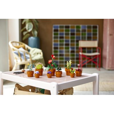 LEGO® Botanicals: 10329 - Mini Pflanzen