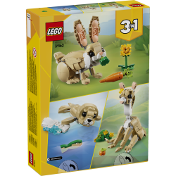 LEGO® Creator: 31162 - 3in1 - Häschen Ostern | Robbe | Lama - EOL 2026